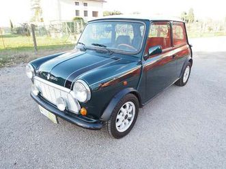 mini 1.3 italian job cat.