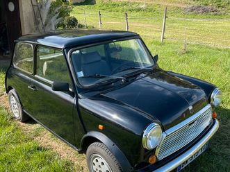 1992 mini austin
