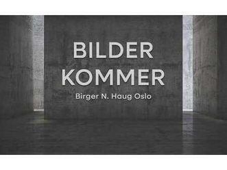 advantage acc/hud/ryggekamera