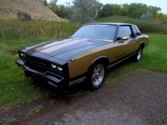 gorgeous 1982 chevrolet monte carlo