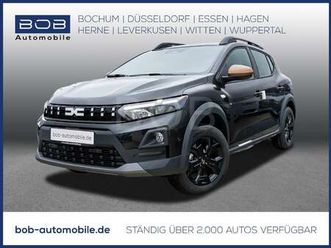 stepway extreme tce 110