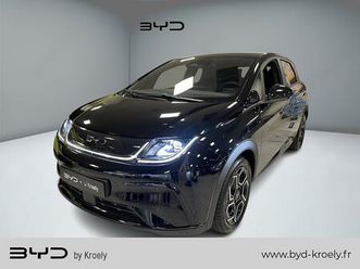 byd dolphin design 150 kw 204 ch