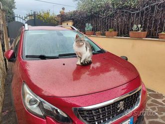 peugeot 2008 130cv benzina rossa