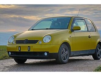 gelber lupo alfawolf (tüv 10-27, wenig rost, rückkauf)