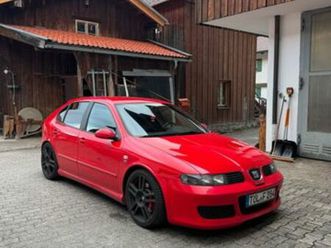 1m cupra