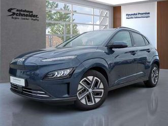 ev 64 kwh prime sitz-paket / dachlackierung