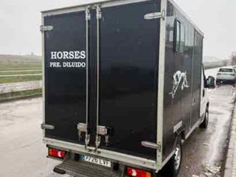 fiat - ducato multifet