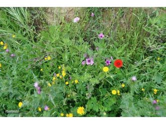 2.5 tdi 4x4 navi comand cam tv-klimatizador-llantas 4x4