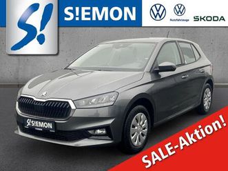 1.0 tsi selection klimaauto led apple carp