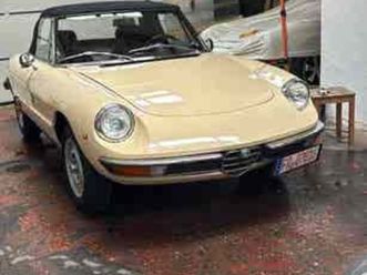alfa romeo - spider