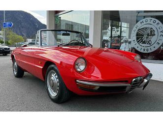 spider duetto 1300 junior