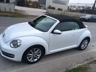 vw maggiolino new beetle
