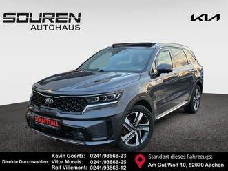 1.6 t-gdi phev platinum 7-sitzer panoram