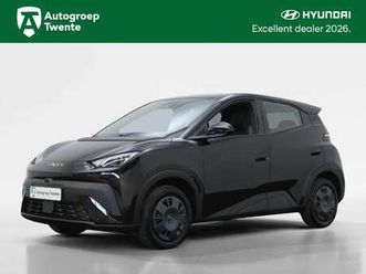 active 30 kwh | navigatie | inclusief € 2.000 acti