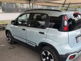 panda cross mild hybrid