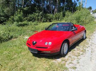 alfa romeo spider