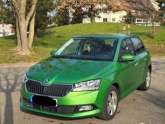 1.0l tsi 70kw active active