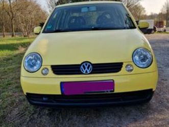 1.0 princeton princeton