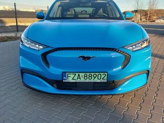 ford mustang mach-e standard