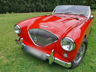 austin healey 100 lm