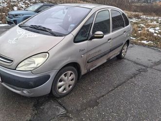 pikuś szuka domu jastrzębie-zdrój • olx.pl