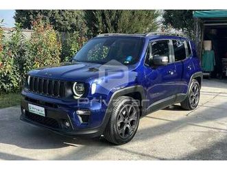 renegade 1.0 t3 80th anniversary