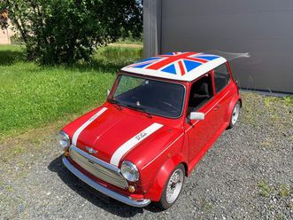 mini 1300 rover