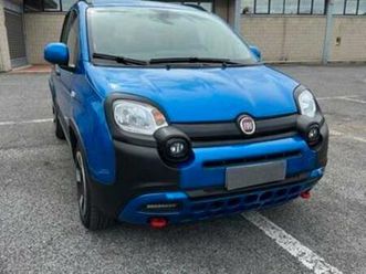 panda cross hybrid 2024