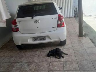 xs 1.3 flex 16v 5p mec.