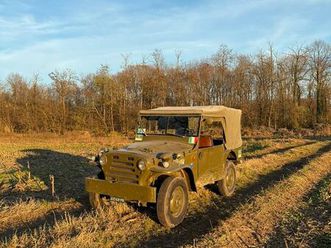 fiat ar55 ps “campagnola”