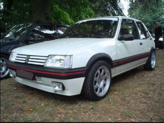 205 1.9 3 porte gti