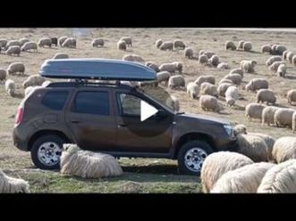 duster benzina+gaz bucuresti sectorul 4